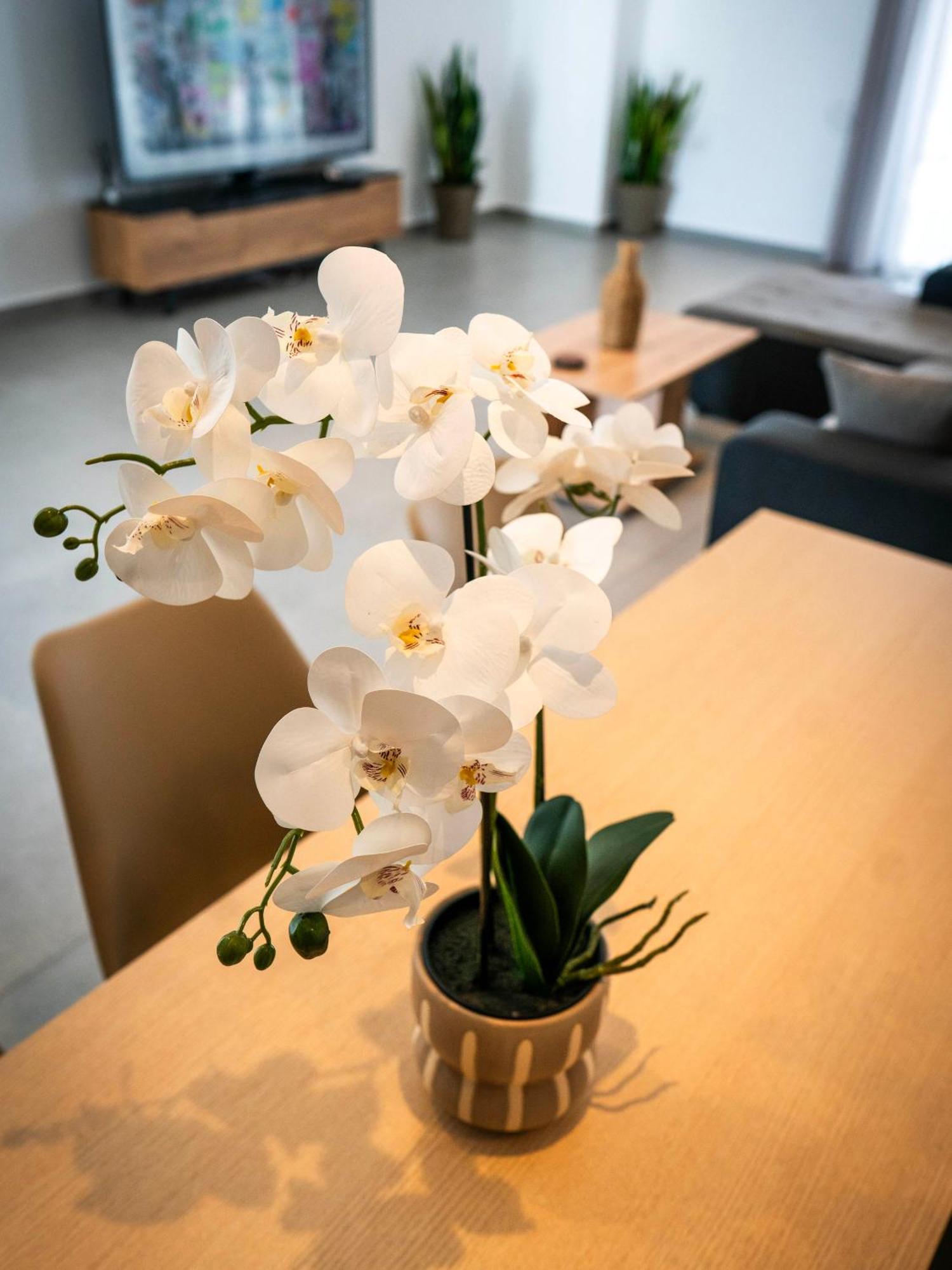 Apartment White Luxury Trikala (Thessaly)